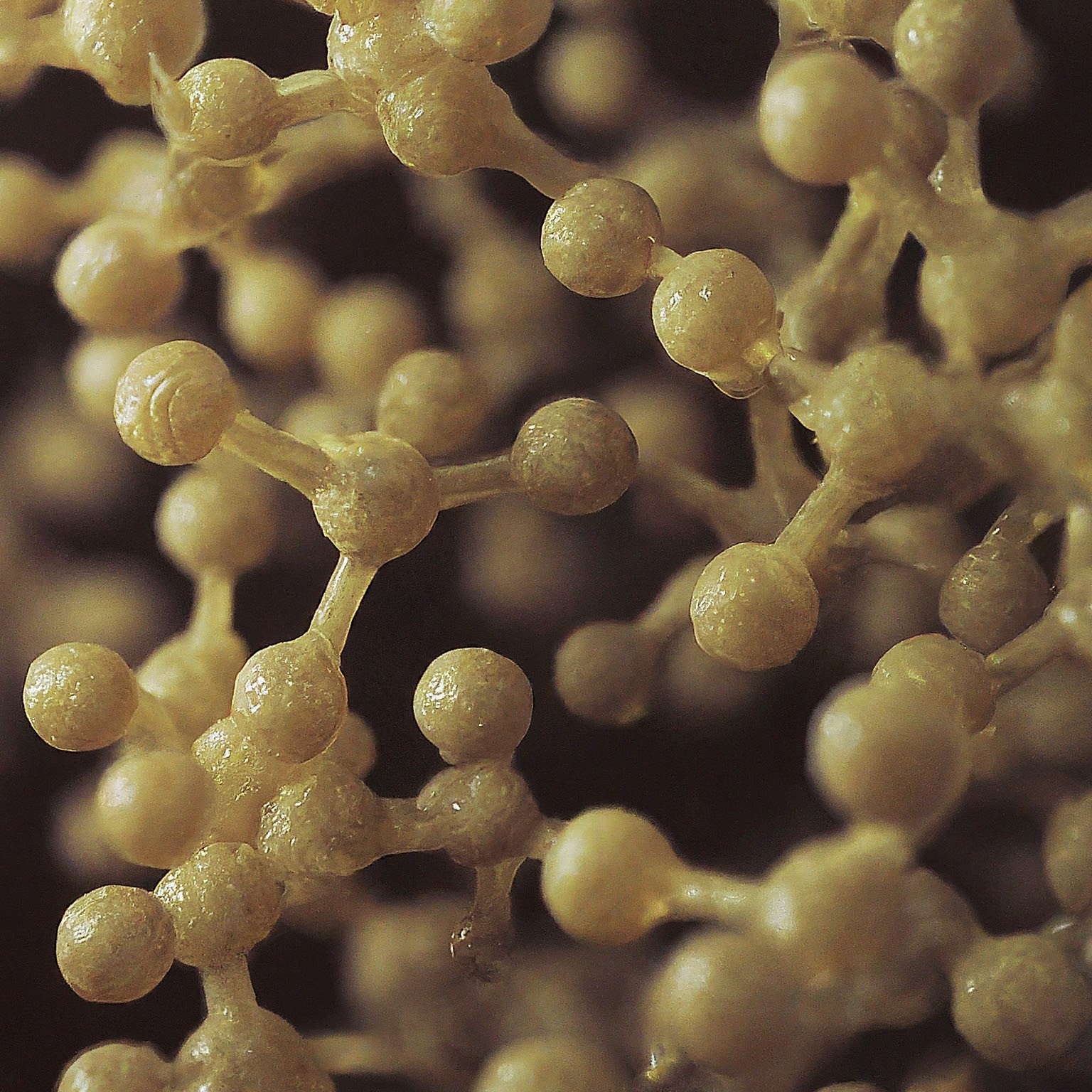 Hyaluronic Acid